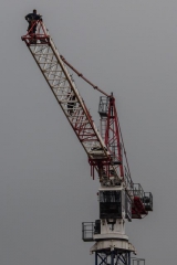 crane