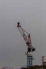 crane